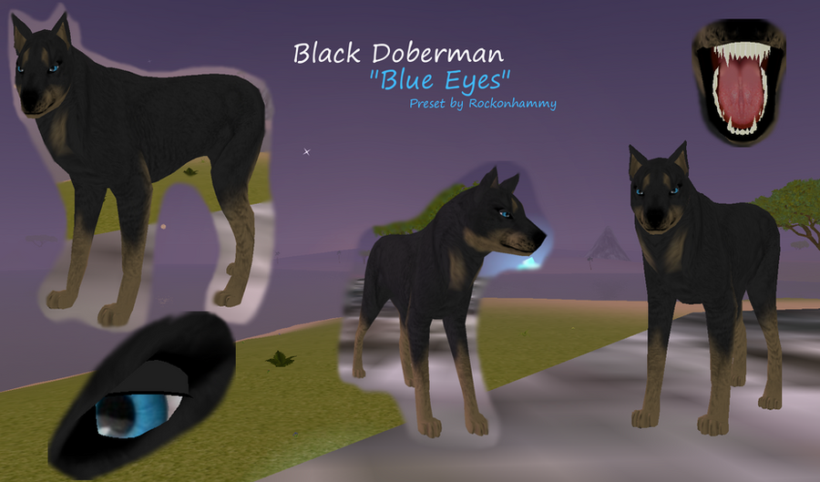 Black Doberman BLUE EYES by rockonhammy on DeviantArt