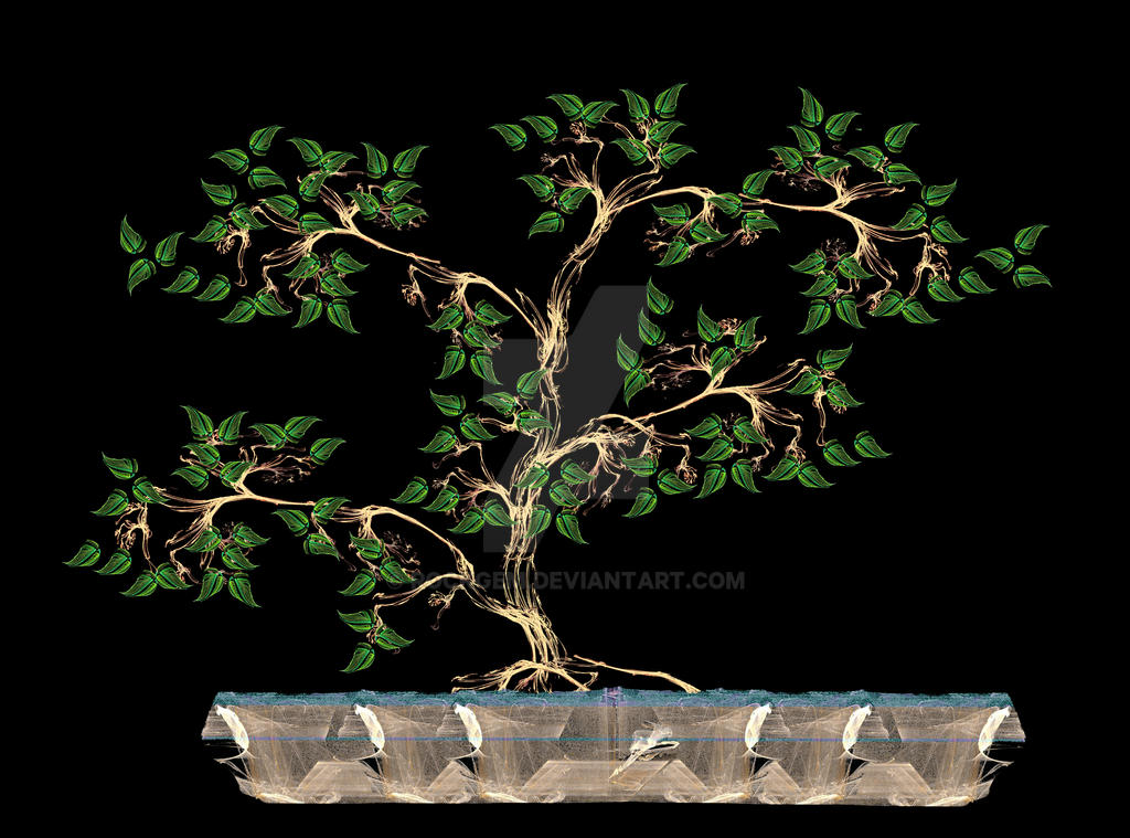 Bonsai tree. by rockgem on DeviantArt