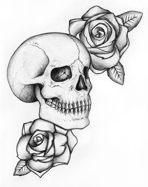 Skull and Roses Sketch by liquidvenom on DeviantArt