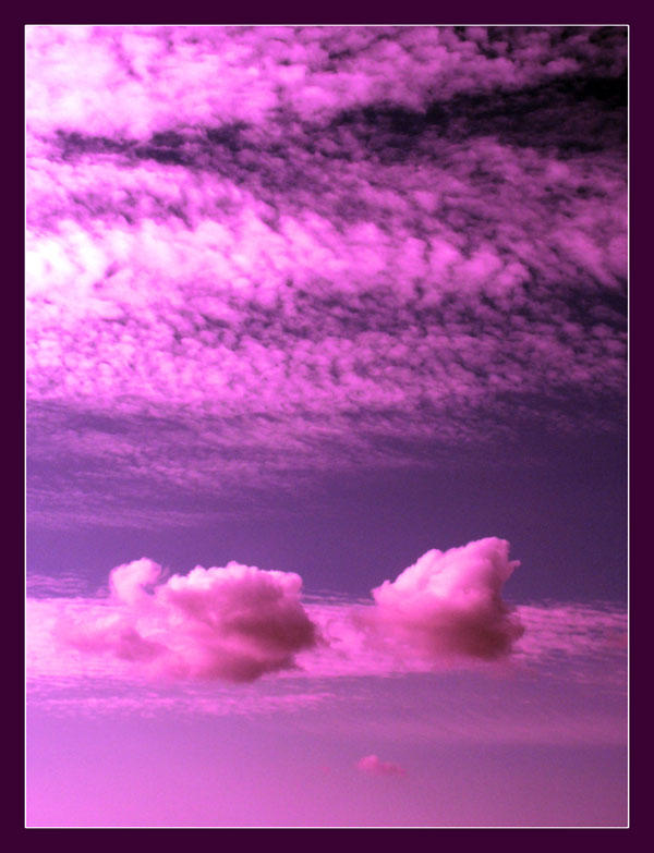 violet by SailorOfTheSky on DeviantArt