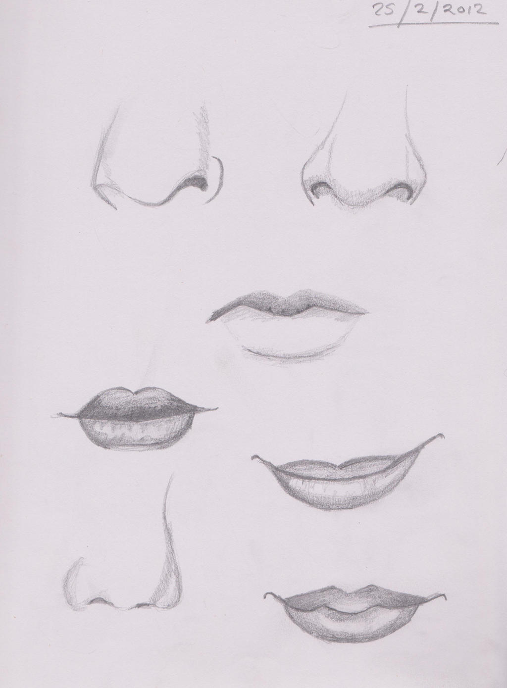 Nose and mouth sketches by CrazyMD2 on DeviantArt
