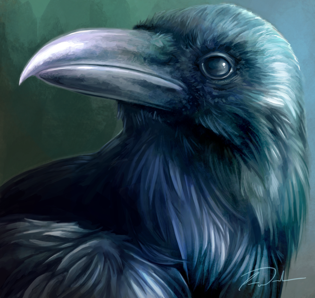 Raven Therril by charfade on DeviantArt