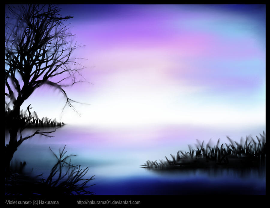 Violet Sunset 2 by hakurama01 on DeviantArt