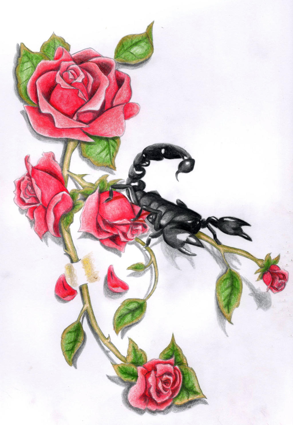 Roses And Scorpion By Sikinnisdreams On Deviantart