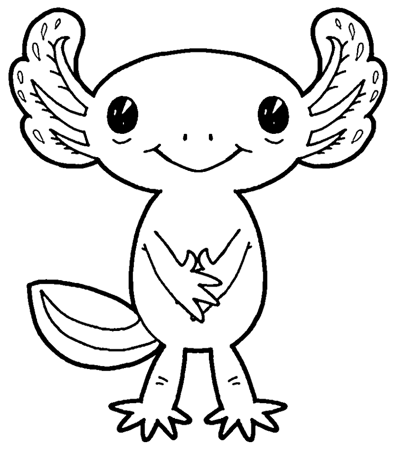 Color me! Cute Axolotl by MisterBug on DeviantArt
