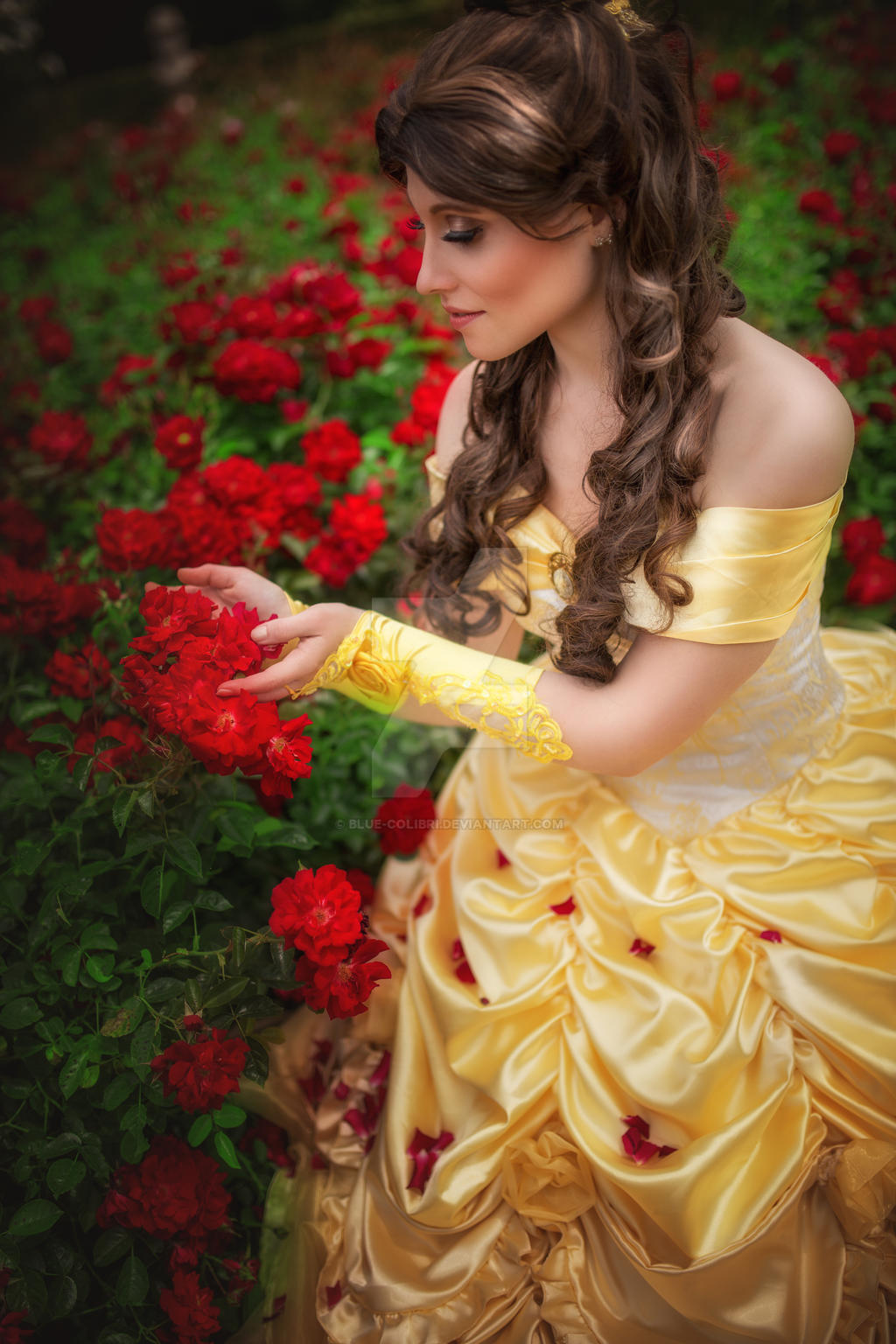 Belle (Beauty and the Beast) - the last petals by Blue-colibri on ...