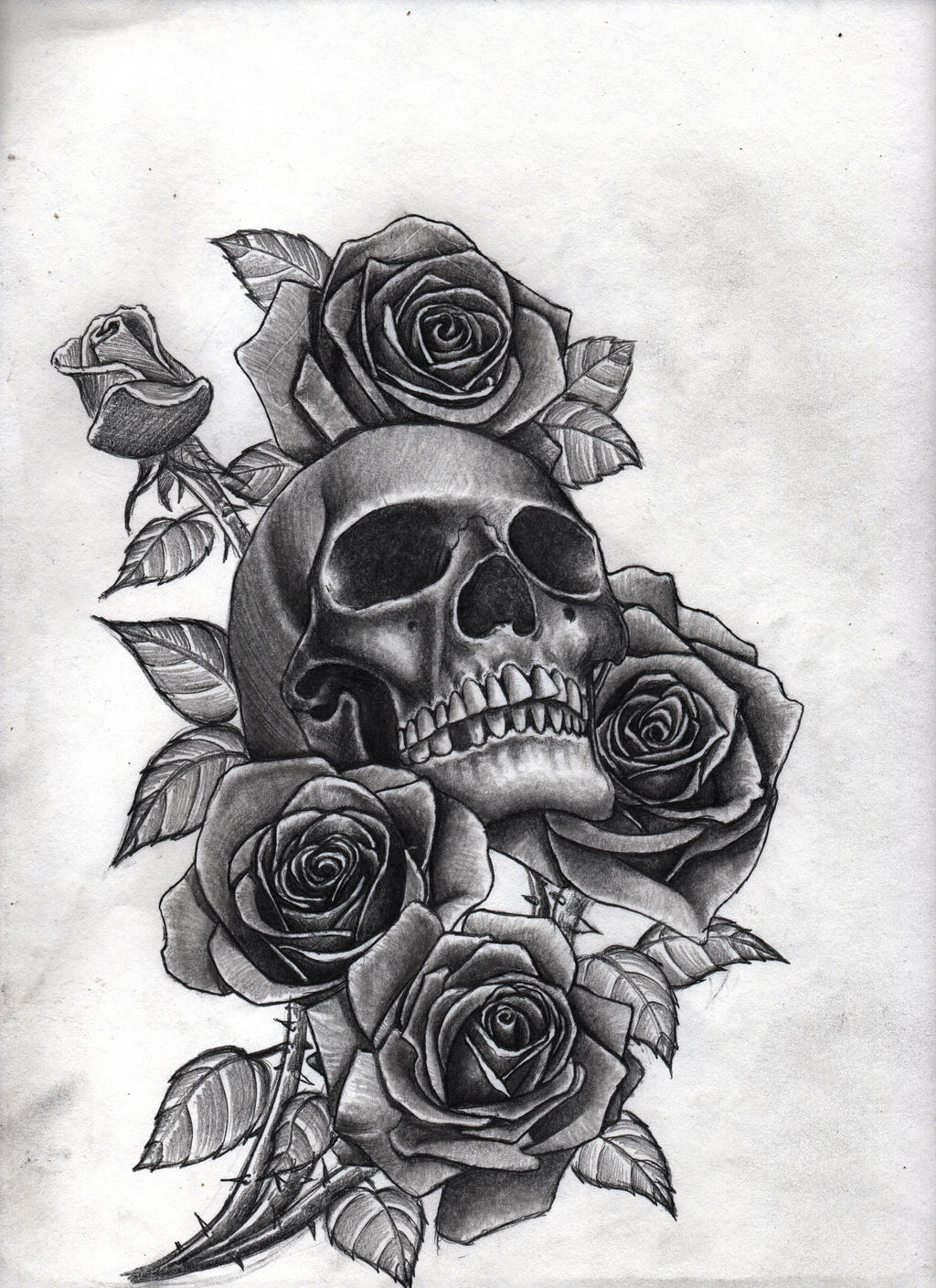 roses and skull by Bobby-castaldi-art on DeviantArt
