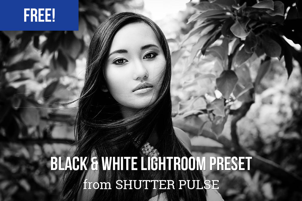 Free Bold Black and White Lightroom Preset by shutterpulse ...