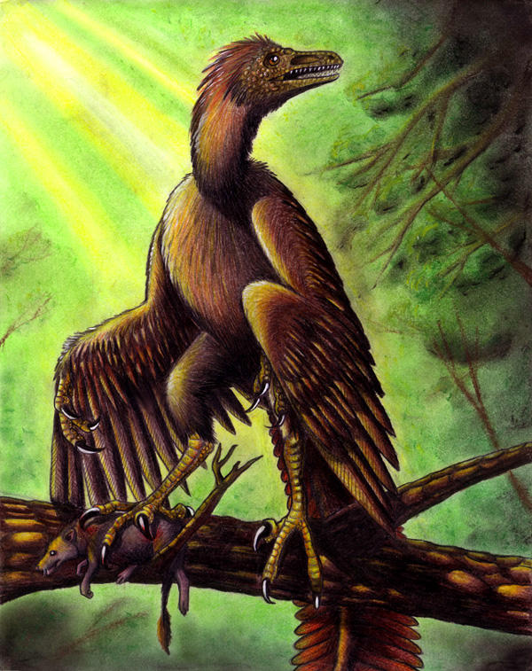 Archaeopteryx: Perched by EWilloughby on DeviantArt