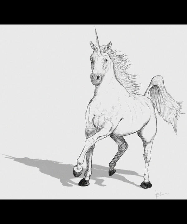 Realistic Unicorn running Line by AnimaP-NetoLins on DeviantArt