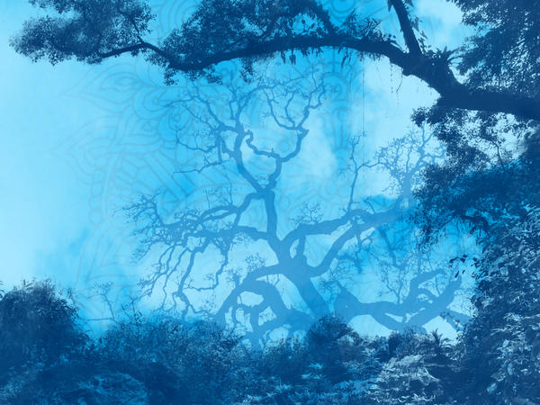 Blue Nature Theme Wallpaper by IAmABlue-Monkey on DeviantArt
