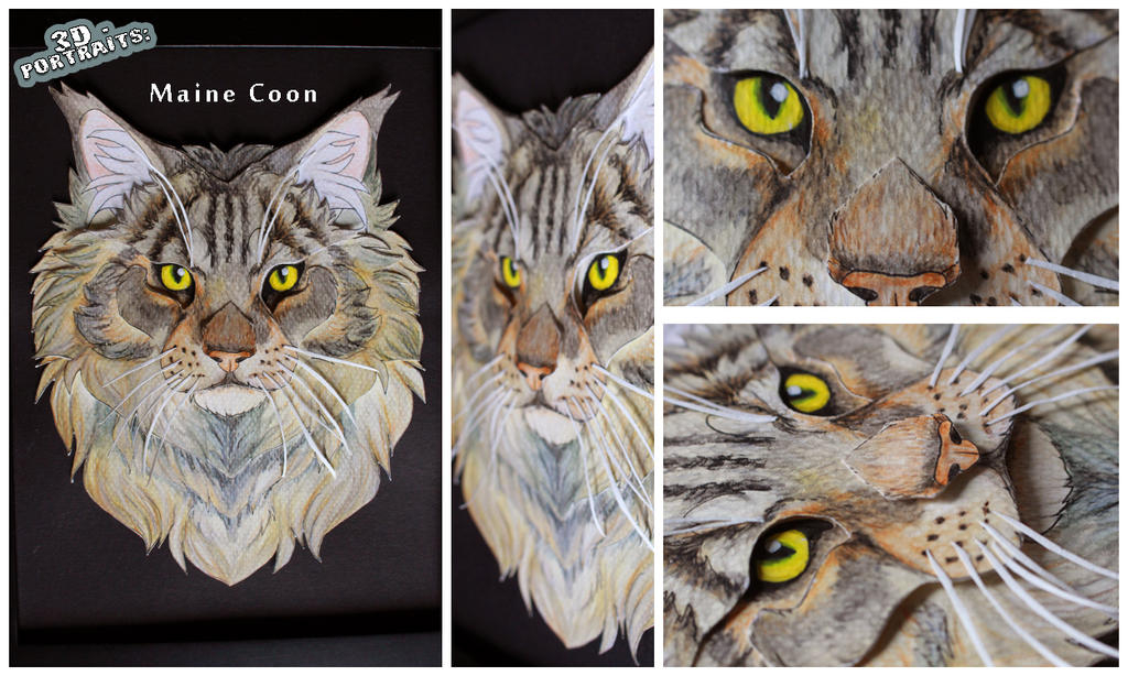 3D Portraits Maine Coon by SaQe on DeviantArt