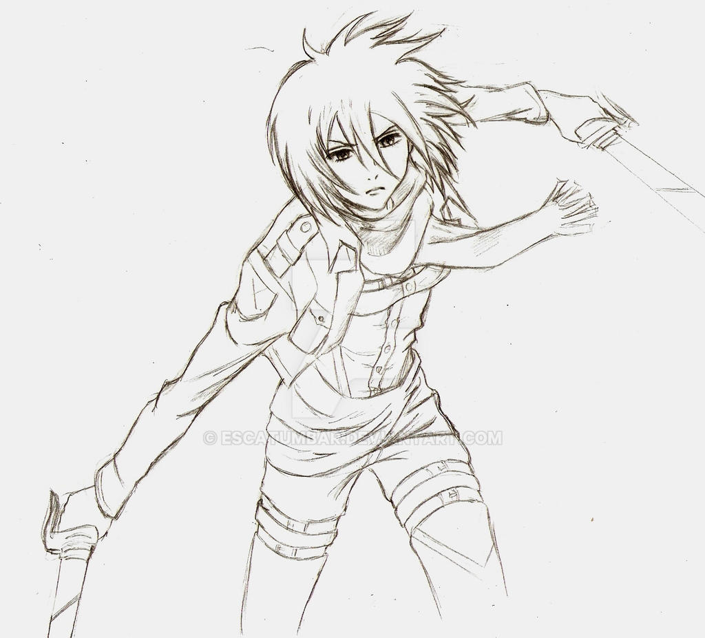 Mikasa Ackerman (sketch in progress) by Escatumbar on DeviantArt