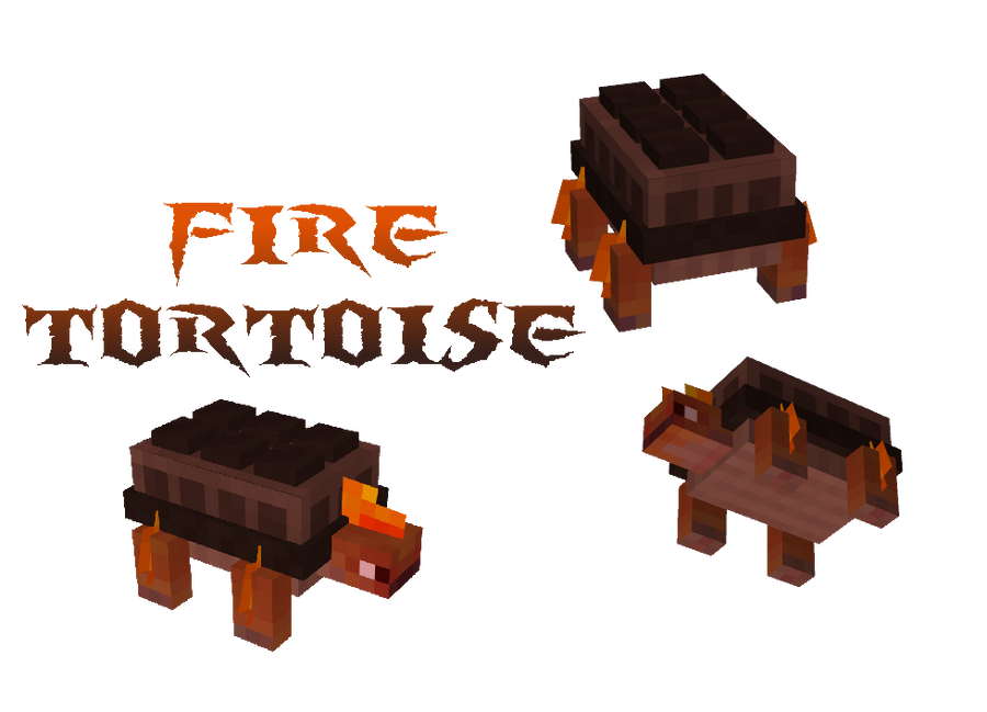 Fire Tortoise