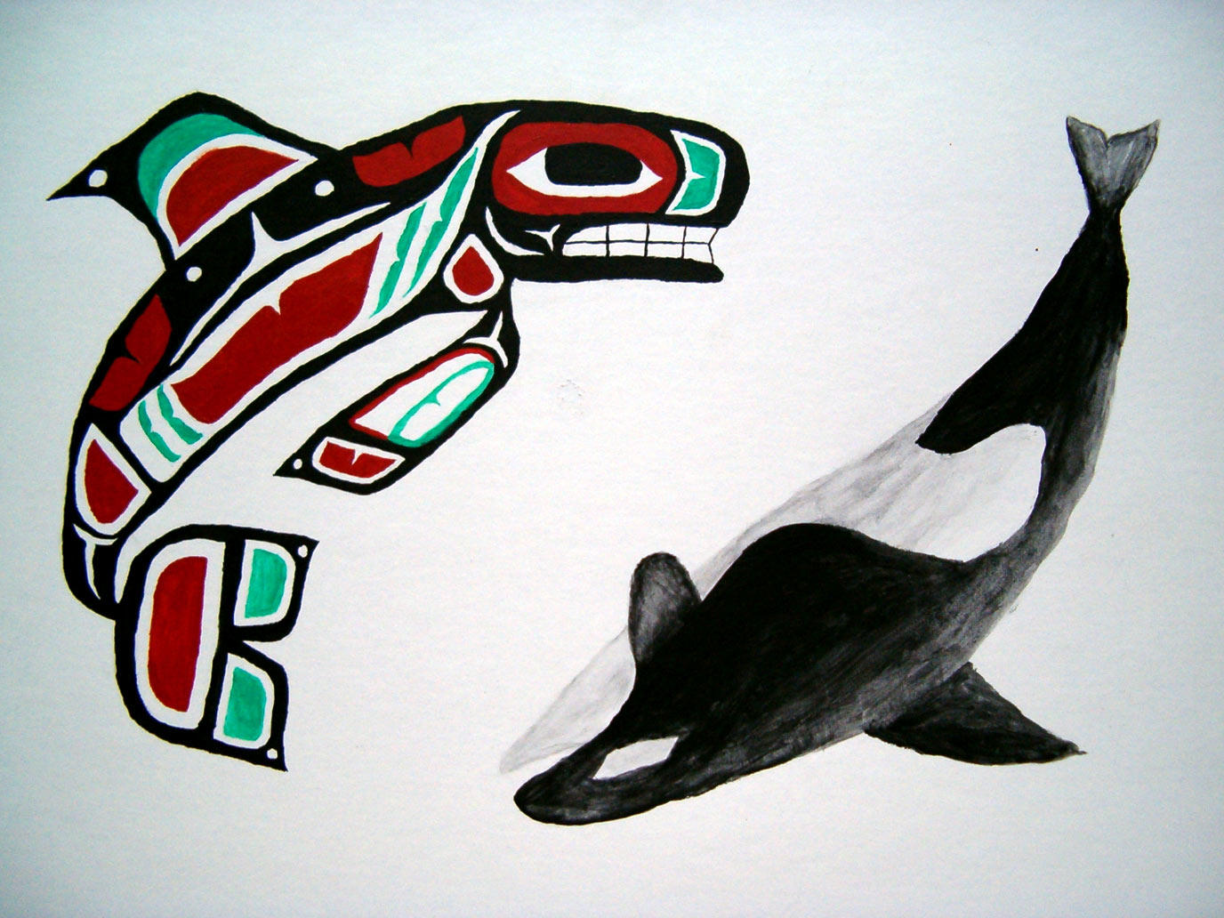 tlingit killer whale by Ahlana on DeviantArt