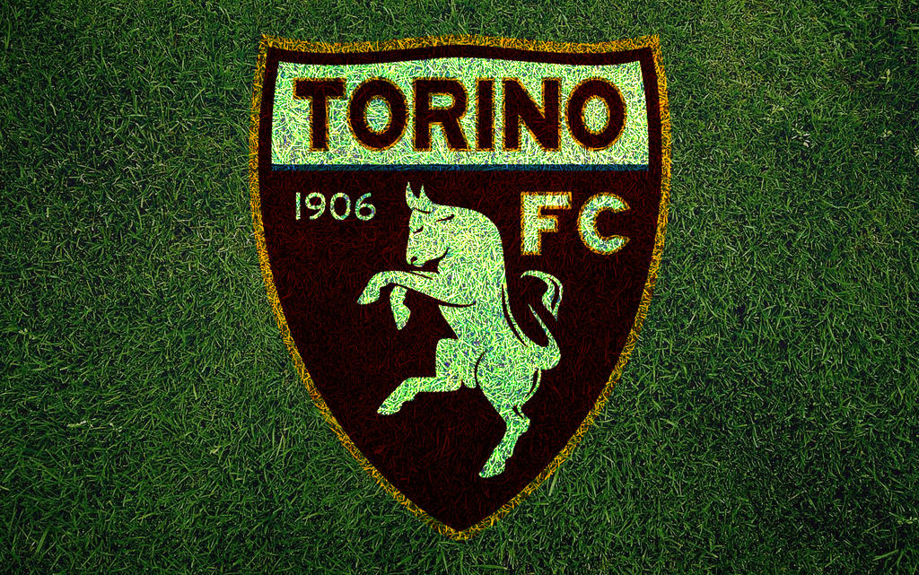 Torino FC by W00den-Sp00n on DeviantArt