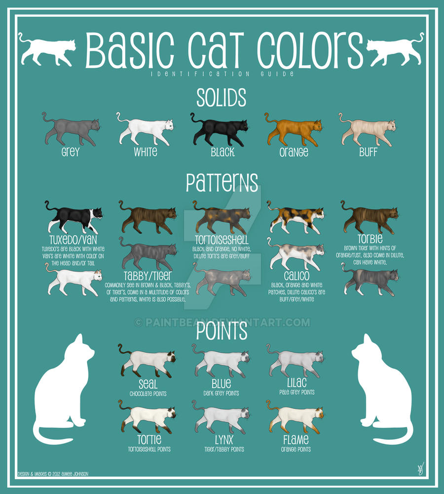 Cat Color Chart by paintbean on DeviantArt
