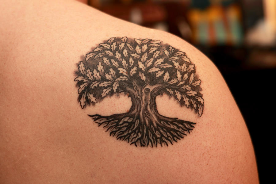 {oak tree with birds tattoo meaning| tattoos gallery | tattoos pictures | tattoos designs | small tattoos designs | free tattoo designs | tattoo design for girl | tree tattoos meaning | tree tattoos on arm | tree tattoos on back | simple tree tattoos | tree tattoos | tree tattoos for guys | tree tattoos designs | small tree tattoos | tree tattoos shoulder | tattoo design for men | japanese tattoos designs | japanese tattoos sleeve | japanese tattoos for men | japanese tattoos meanings | cherry blossom tattoo wrist | cherry blossom tattoos | feminine cherry blossom tattoo | cherry blossom tattoo small | cherry blossom tattoo black and white | cherry tattoos meaning | tribal tattoos | tribal tattoos meanings | tribal tattoos sleeve | types of tribal tattoos | tribal tattoos designs | tribal tattoos for men | african tribal tattoos meanings | tribal tattoos for men shoulder and arm | small tribal tattoos | cherry tattoos on hip | cute cherry tattoos | cherry tattoos tumblr | cherry tattoos black and white | dragon tattoos on arm | dragon tattoos on back | dragon tattoos sleeve | dragon tattoos meaning | dragon tattoos designs | small dragon tattoos | chinese dragon tattoos for men | dragon tattoos on forearm | small cherry tattoos | simple cherry tattoo | cherry tattoo outline | cherry blossom tattoo sleeve | japanese cherry blossom tattoo designs | cherry blossom tattoo men | cherry blossom tattoo watercolor | small japanese tattoos | traditional japanese tattoos | japanese tattoos words | japanese tattoos black and grey | tattoo designs and meanings | tattoo designs simple | rib cage tattoos for guys | rib cage tattoos for females | rib tattoos pain | rib tattoos small | rib tattoos for guys | rib cage tattoo male | rib cage tattoos | women's side rib tattoos | rib tattoos quotes | tattoo designs name | tattoo designs on hand | tattoos for men | tattoos for girls | tattoo ideas for girls | tattoo ideas small | tattoo ideas men | tattoo ideas with meaning | tattoo ideas for men arm | unique tattoo ideas | meaningful tattoo ideas | tattoo ideas for men with meaning | tattoos ideas | tattoos small | female tattoos gallery | best female tattoos | best female tattoos 2019 | delicate female tattoos | female tattoos designs for arms | best female tattoos on hand | female tattoos designs on the back | girly tattoos pictures | female tattoos | tattoos for men with meaning | tattoos for men on arm | tattoos for men on forearm | 2018 tattoos for men | small tattoos for men | small tattoos for men with meaning | tattoos for men on hand | simple hand tattoos for mens}