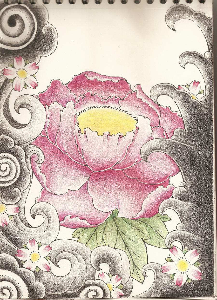 Peony Drawing by PurpleRiot on DeviantArt