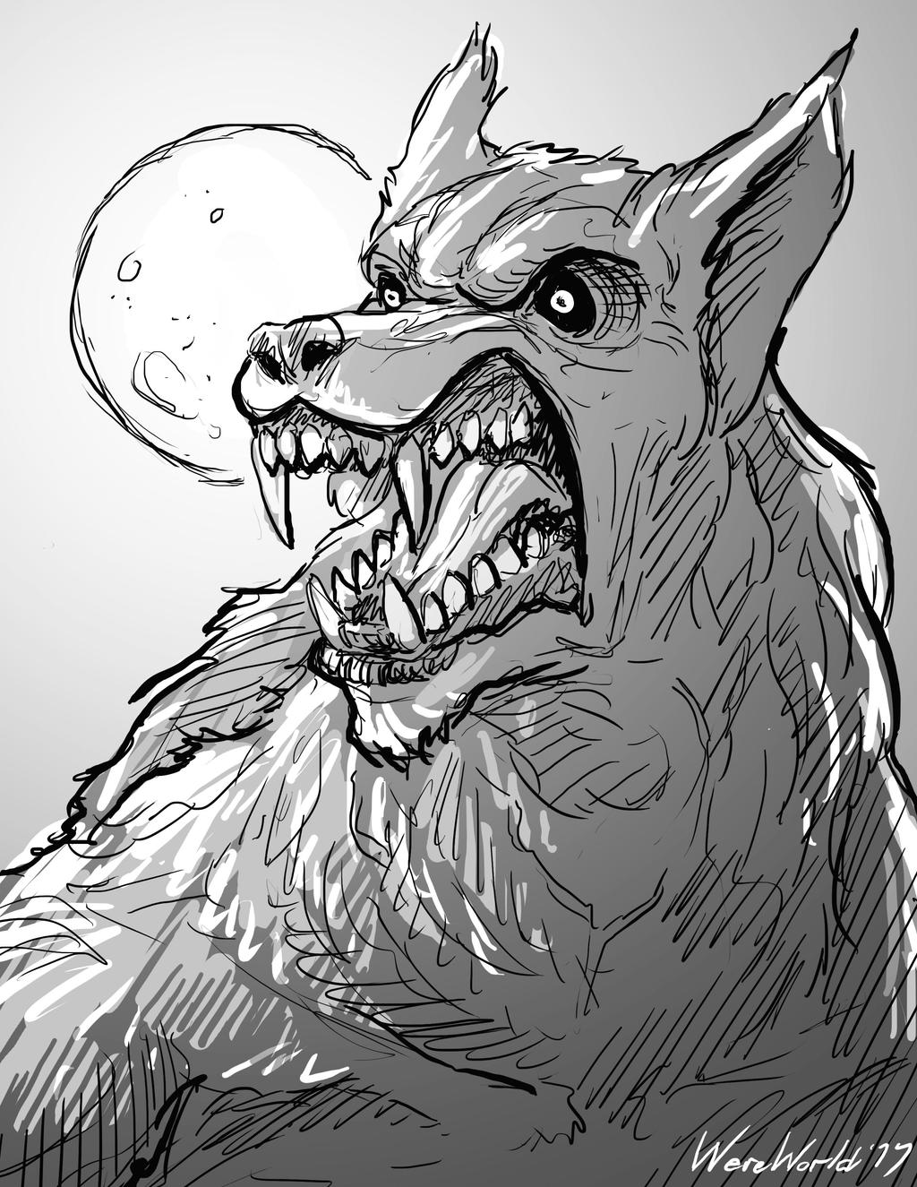 Werewolf Sketch by Were-World on DeviantArt