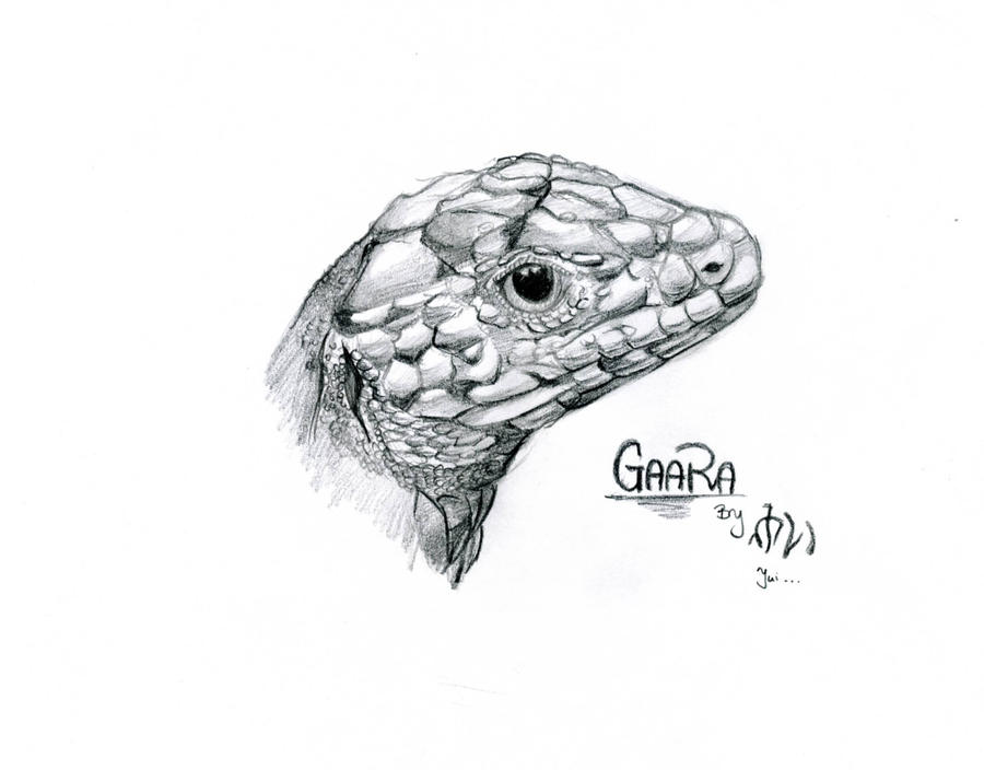 My Lizard Gaara-Realistic Draw by Yui-the-Echidna on ...