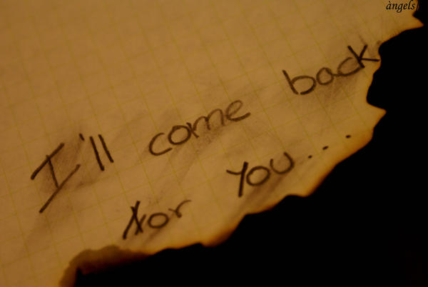 i__ll_come_back_for_you____by_angeleta.jpg