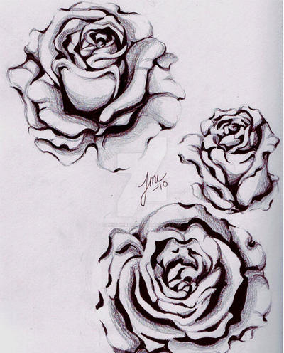 Rose pencil drawings by devilschild669 on DeviantArt