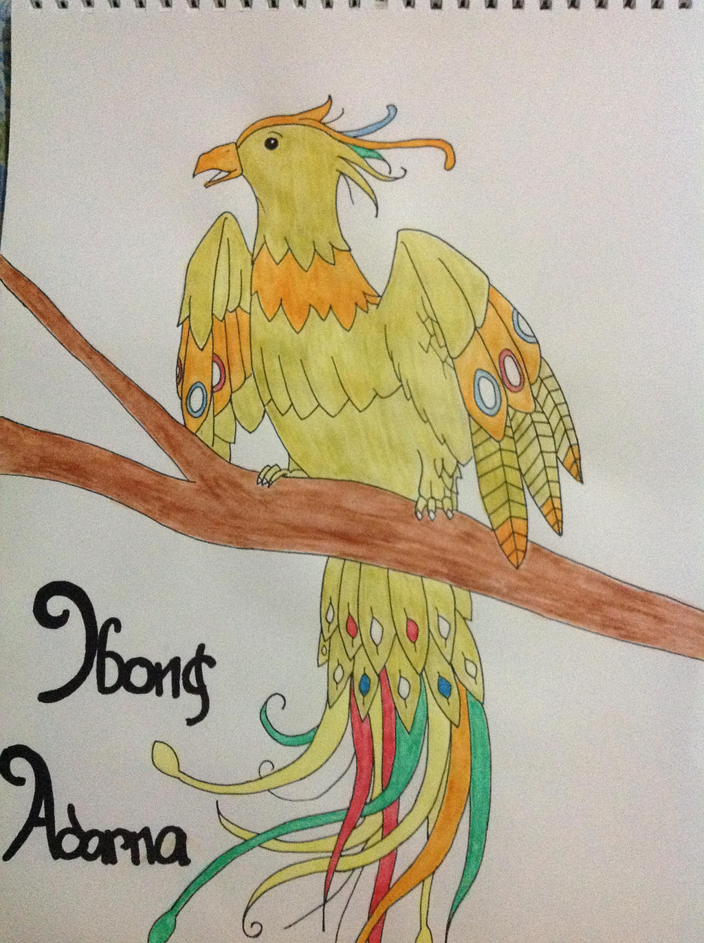 Ibong Adarna Picture Drawing Clipart 5774612 Pinclipart - Vrogue