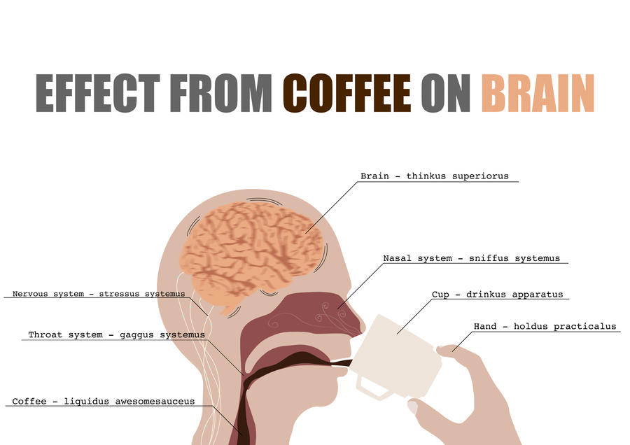 the effects of caffeine on the brain