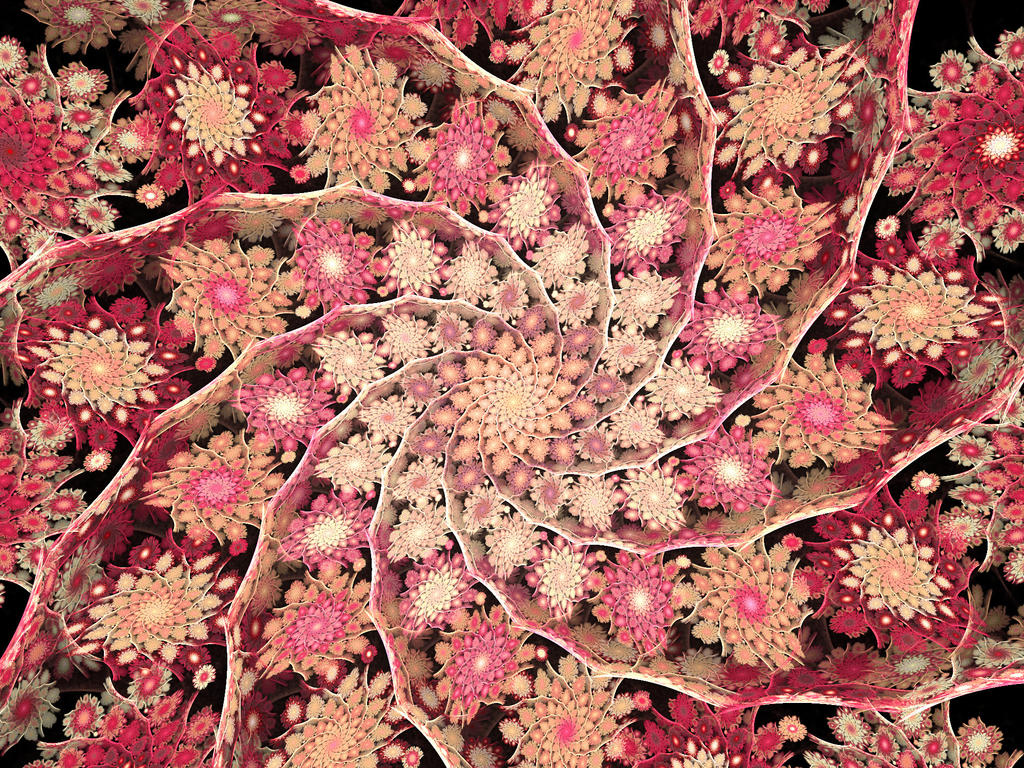 flowers and spirals by lmarm on DeviantArt