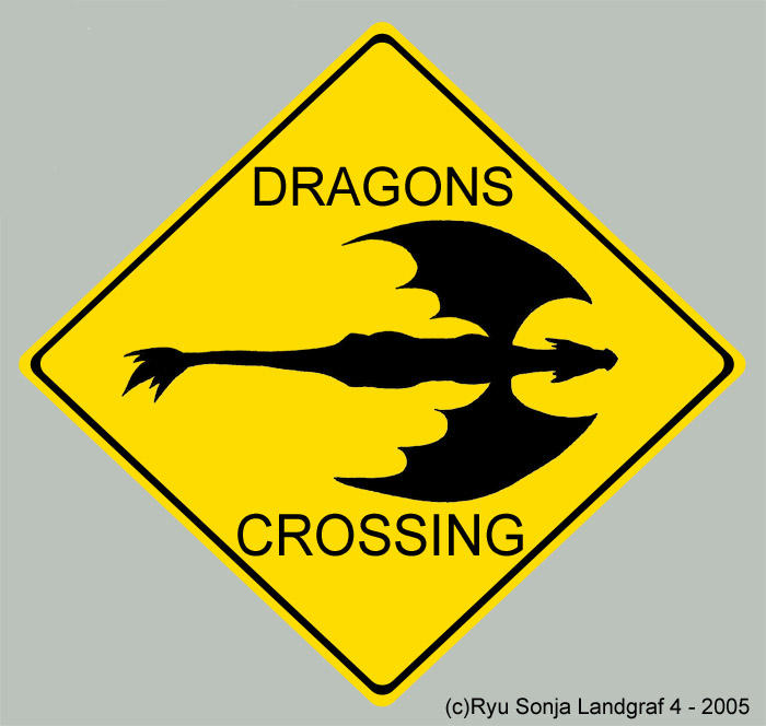 dragons_crossing_by_ryu_sonja.jpg