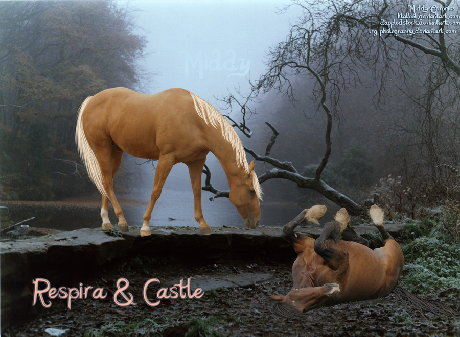 respira_and_castle__one__by_middysgraphi