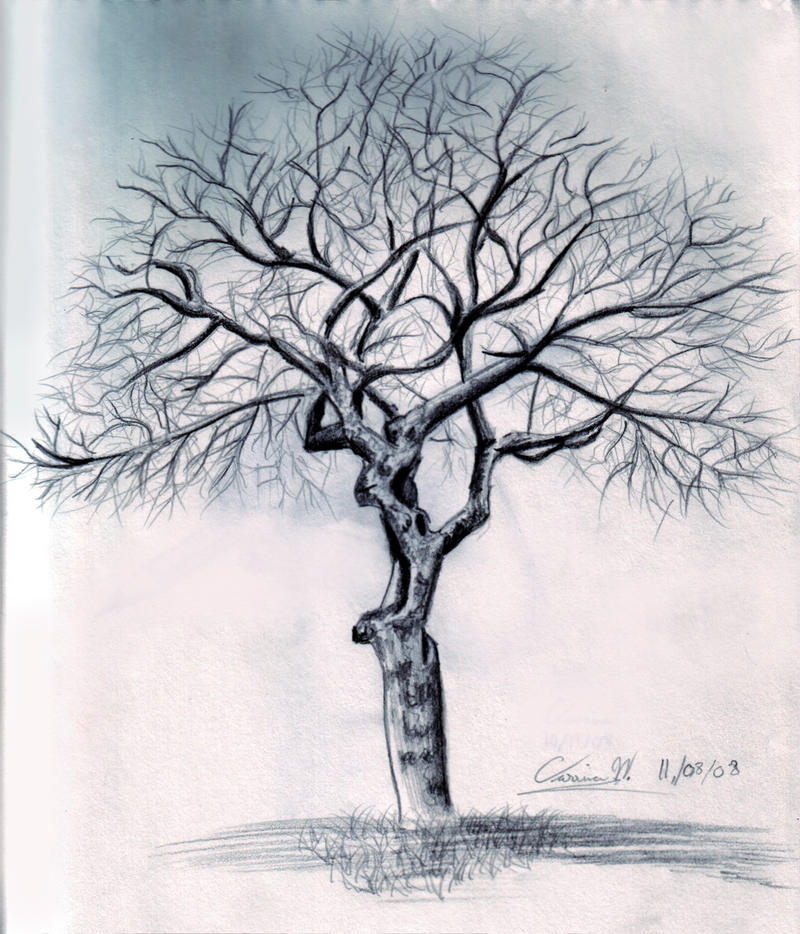 Tree Without Leaves by ArtWarrior25 on DeviantArt
