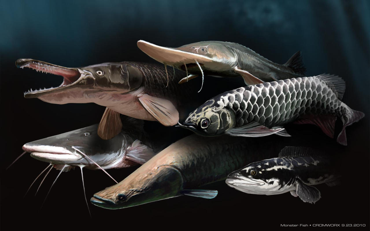 monster_fishes_by_cromzl-d2zc6o2.jpg