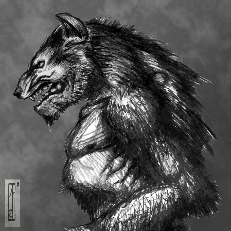 Werewolf sketch by Entenn on DeviantArt