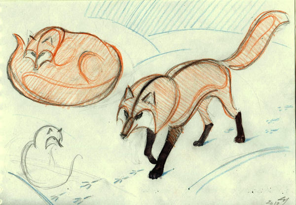 fox sketch by Unita-N on DeviantArt