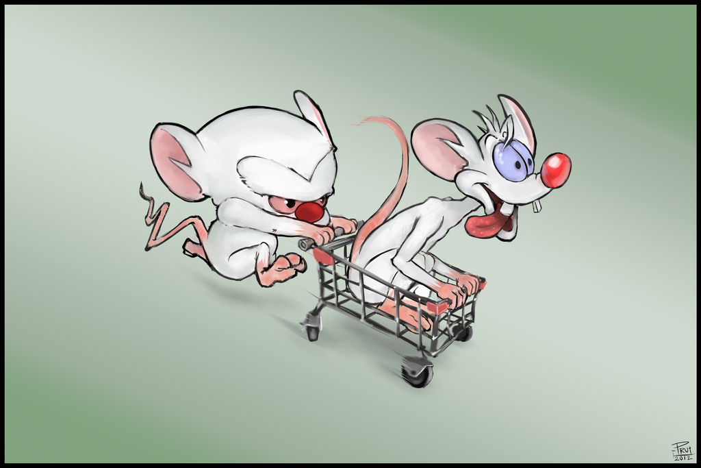 Pinky and the Brain by prumen on DeviantArt
