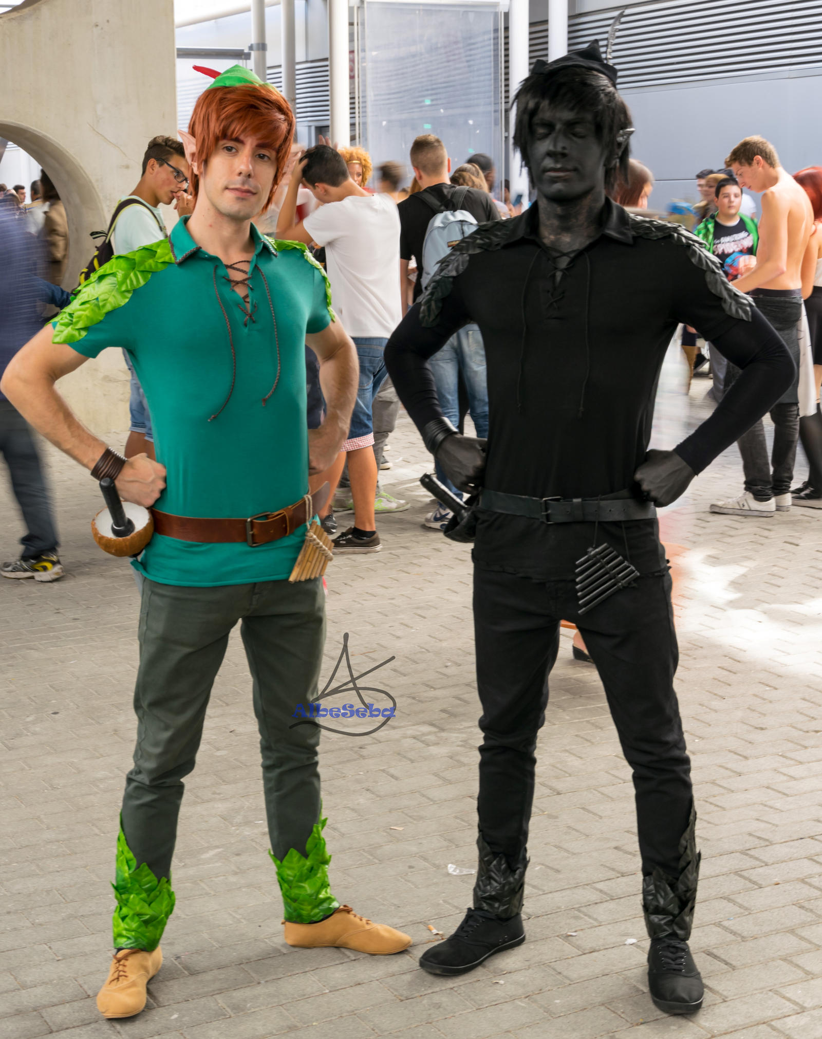 Peter Pan and Shadow