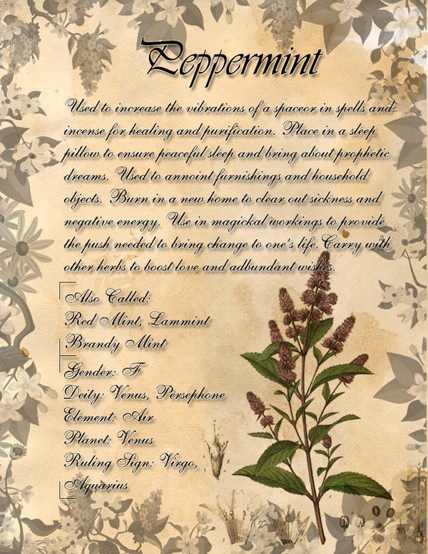 Book of Shadows: Herb Grimoire- Peppermint by CoNiGMa on DeviantArt