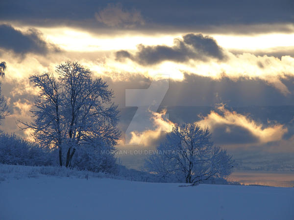 Winter radiance by Morgan-Lou on DeviantArt