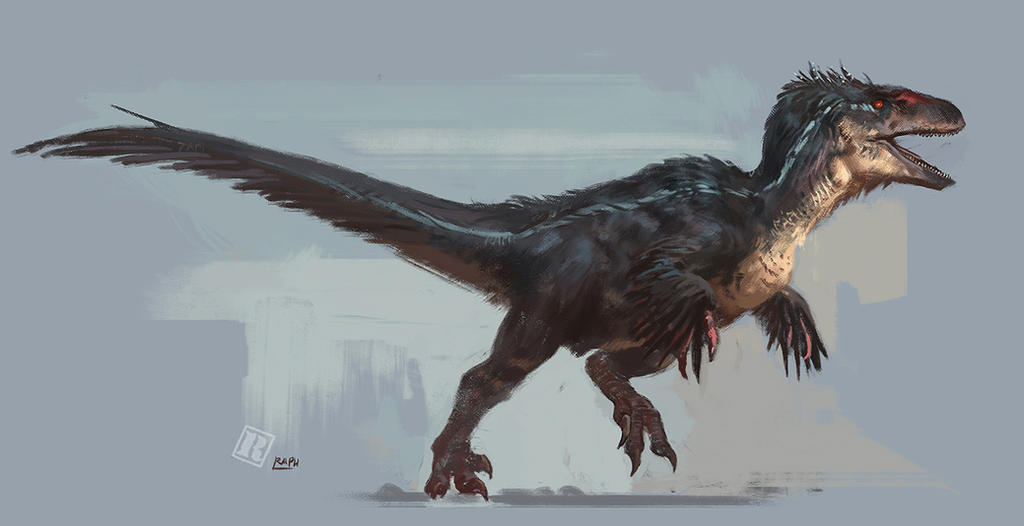 Jurassic Park 3 Feathered Raptor By Raphtor On Deviantart 
