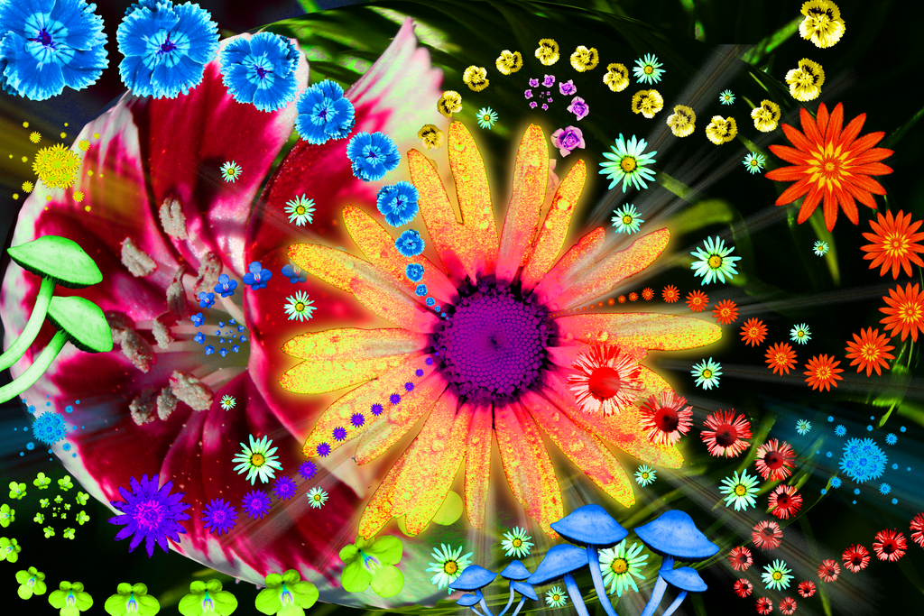 Psychedelic Flower Scene by B-Jammin on DeviantArt
