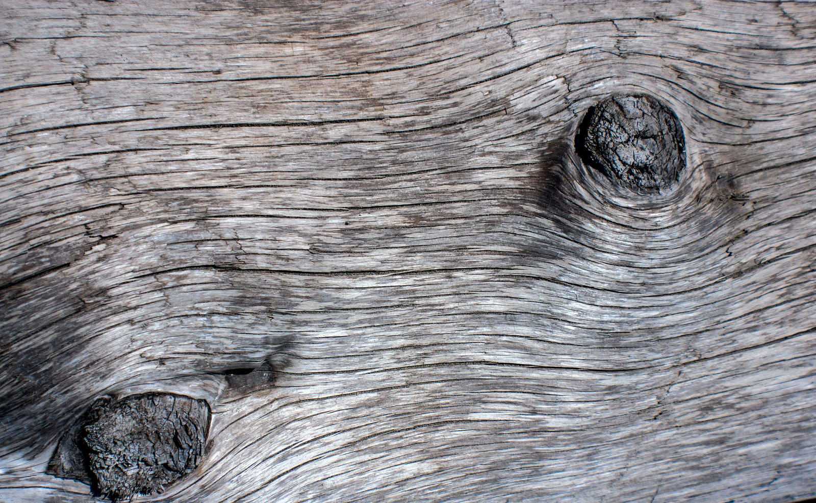 Driftwood Texture 13 By Kariloumc On Deviantart HD Wallpapers Download Free Map Images Wallpaper [wallpaper376.blogspot.com]