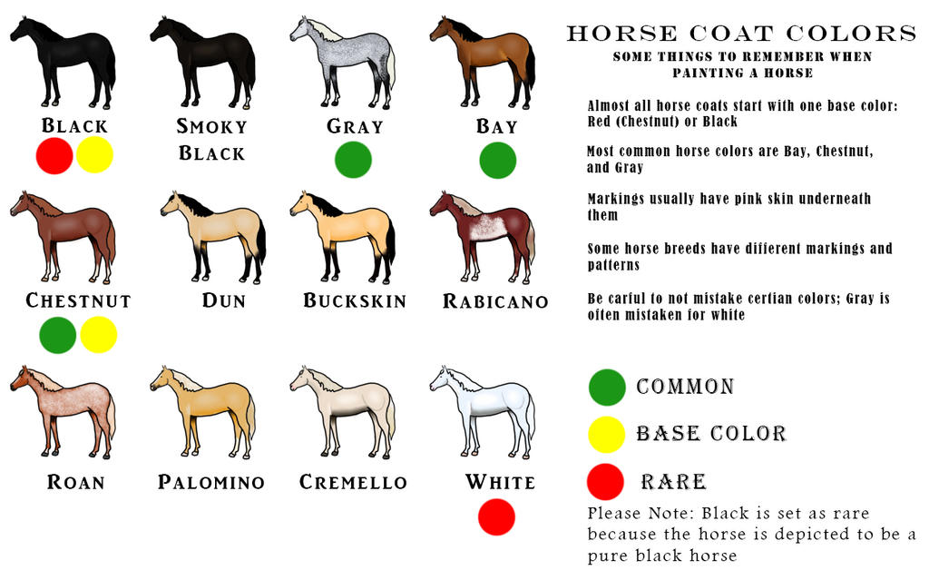 Horse Coat Color Chart by Faolan22 on DeviantArt