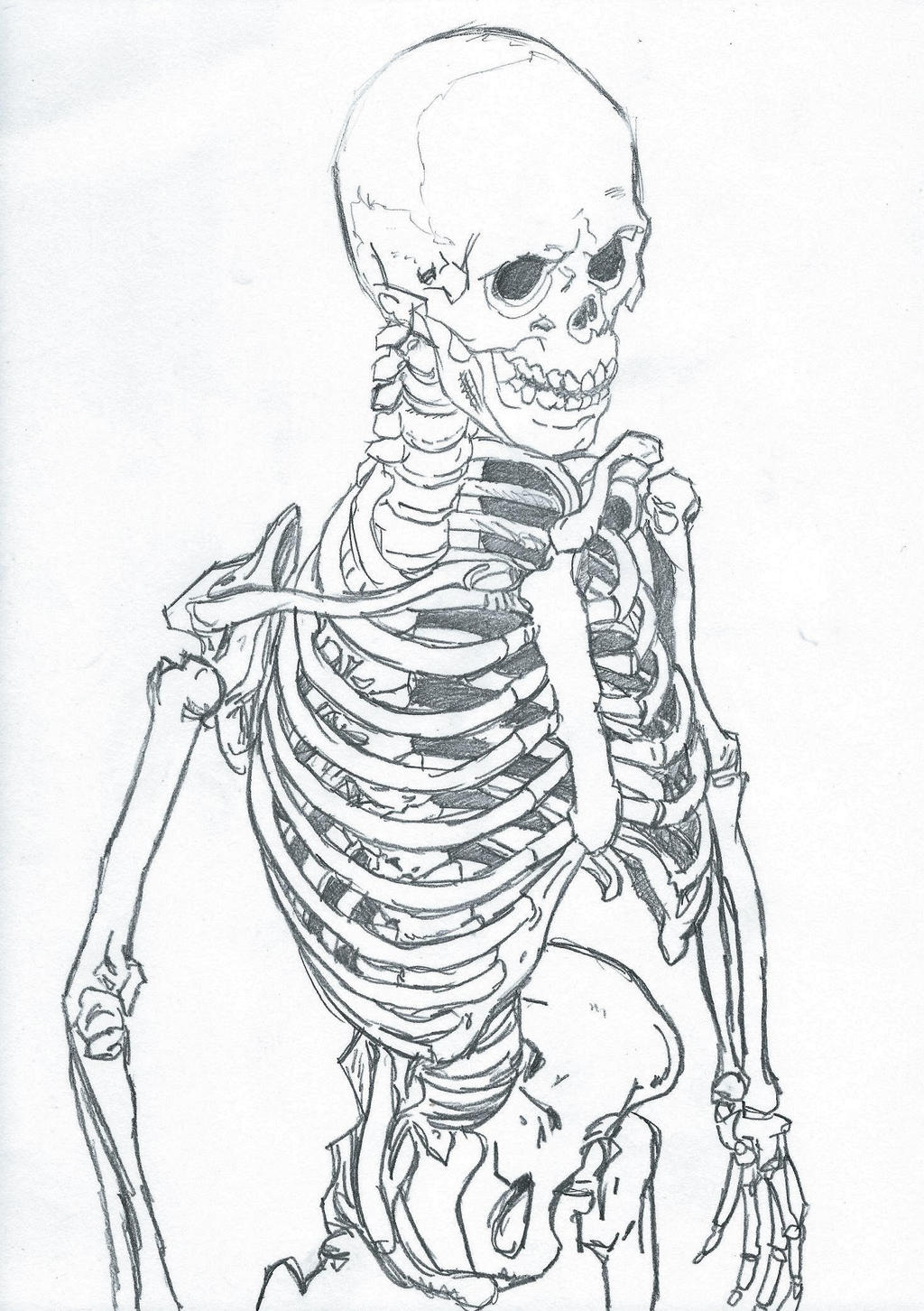 30 Skeleton Drawing Ideas Art In 2020 Human Anatomy Art Anatomy ...